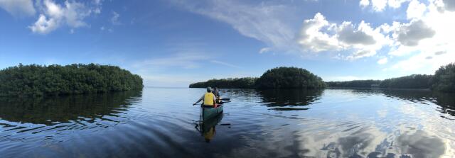 Kayaking during Pinellas County Sea Grant Trip