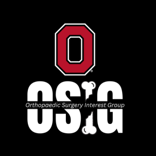 The logo for OSIG, including a Block O and a bone representing the letter I