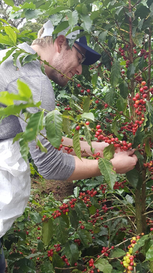 Buck-I-SERV participant harvesting coffee in Honduras