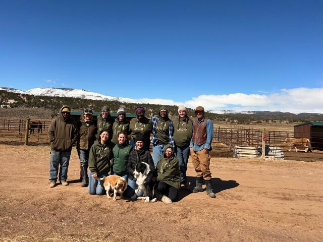 Buck-I-SERV college student volunteers and Mountain Valley Horse Rescue staff