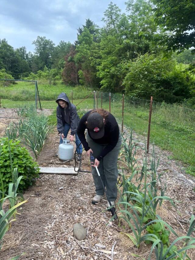 Volunteers working to tend a garden with Once Upon a Time