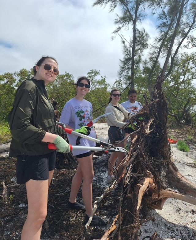 Four students work to cut back invasive species growth on the Florida Coastline