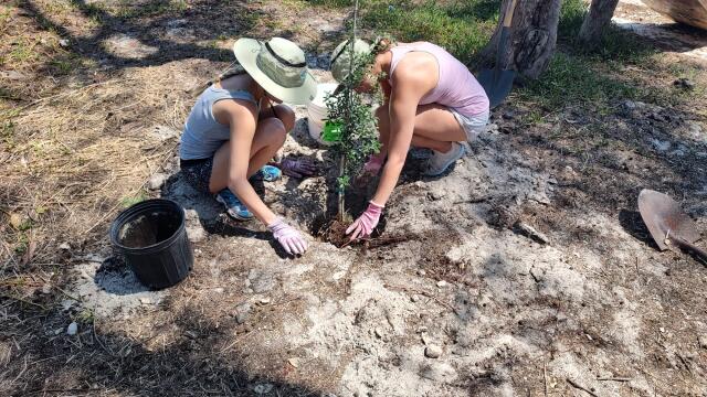 Two Buck-I-SERV alternative break participants planting a tree