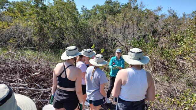 Group of college students learning about plant species